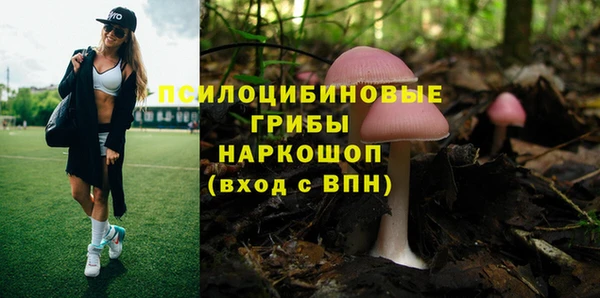стафф Нягань